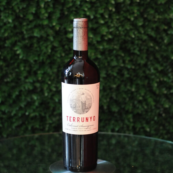 Vinho Terrunyo Cabernet - 750ml