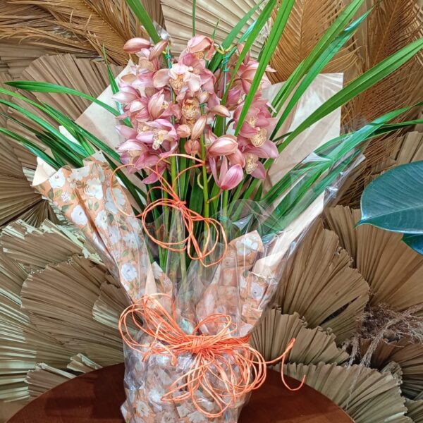 35 - Orquídea Cymbidium no Papel Celofane